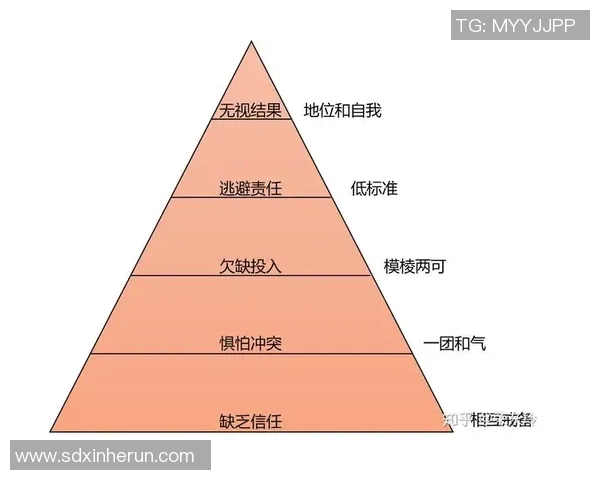 深入分析WE与V5比赛后的团队协作表现与战略调整实时新闻